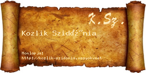Kozlik Szidónia névjegykártya